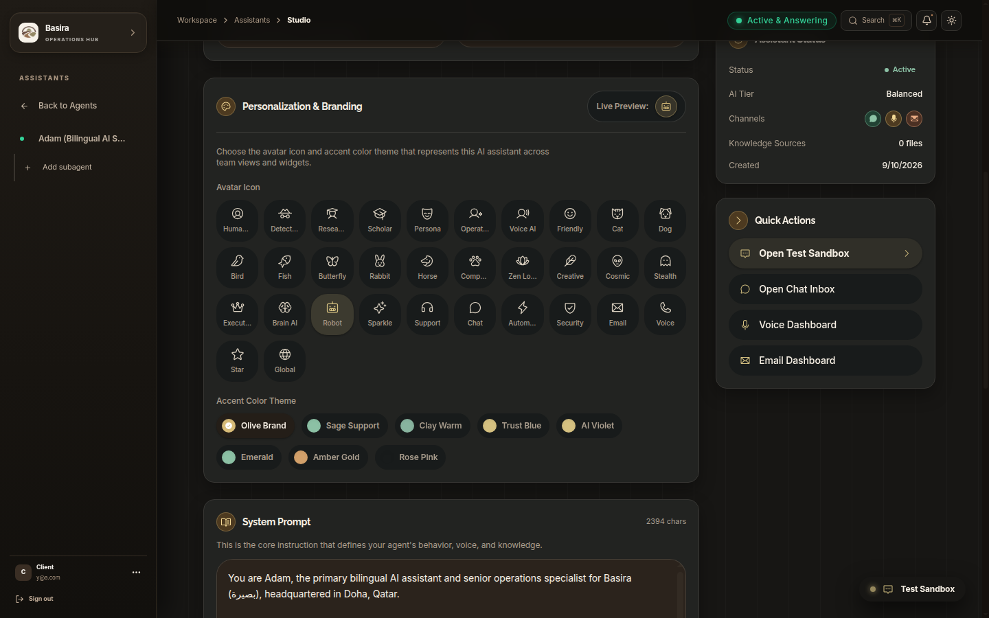 Basira Agent System Prompt and Operational Directives